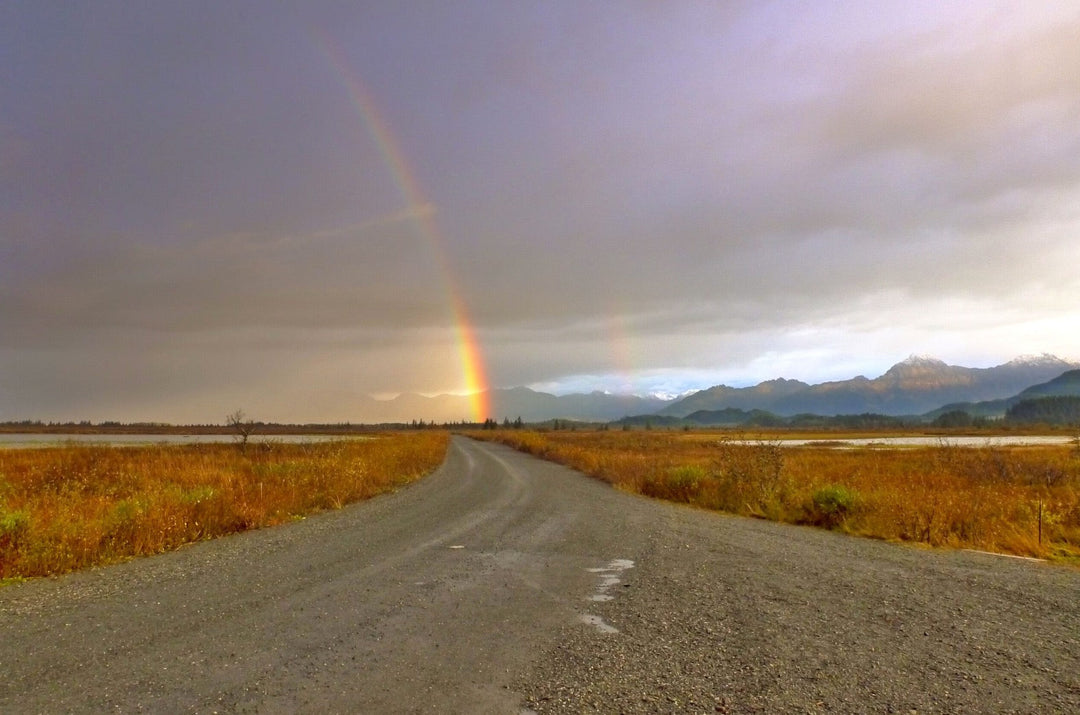 Fly Fishing Report: October 2016