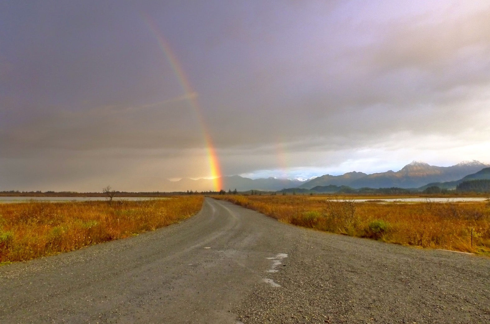 Fly Fishing Report: October 2016