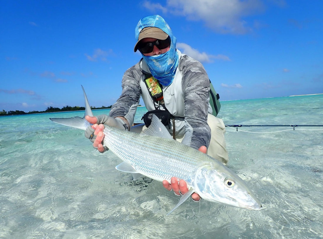 Fly Fishing Report: March 2019