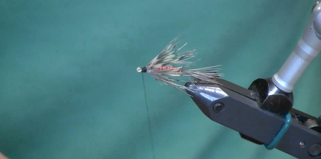 May Fly of the Month: D-Rib Carey Special