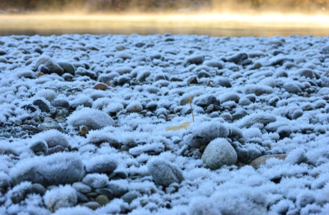 Fly Fishing Report: December 2015