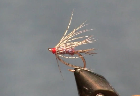 July Fly of the Month: Duracel Soft Hackle