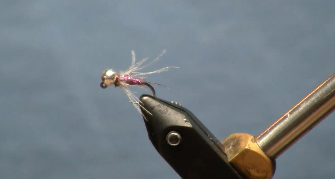 September Fly of the Month: Duracell Nymph