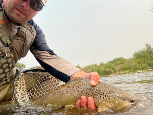 Fly Fishing Report: August 2021