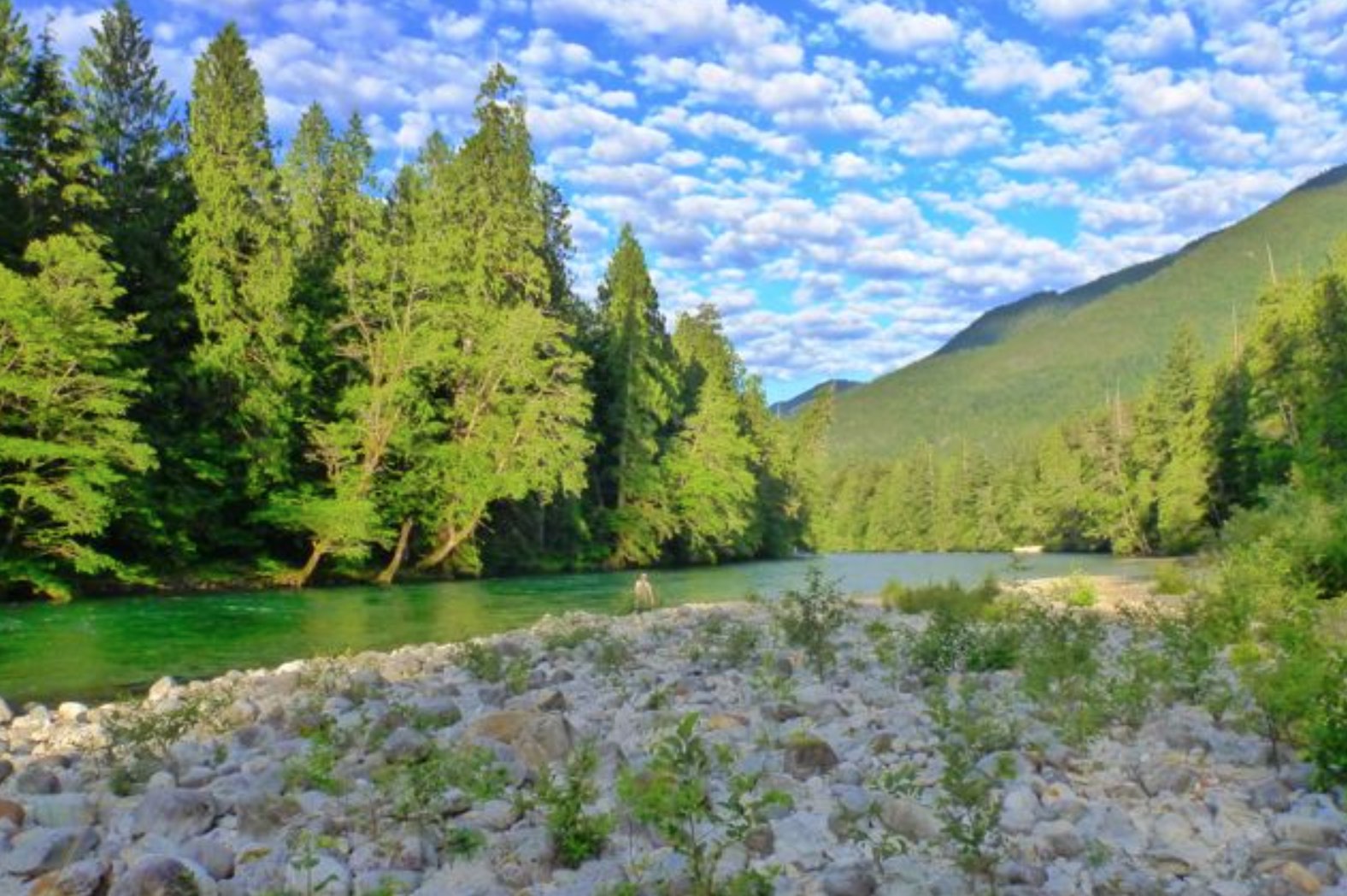 Fly Fishing Report: July 2016