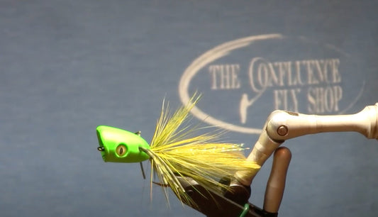 July Fly of the Month: Easy Double Barrel Bass Popper