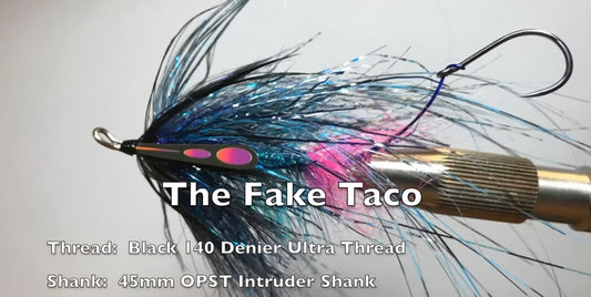 January Fly of the Month: Fake Taco