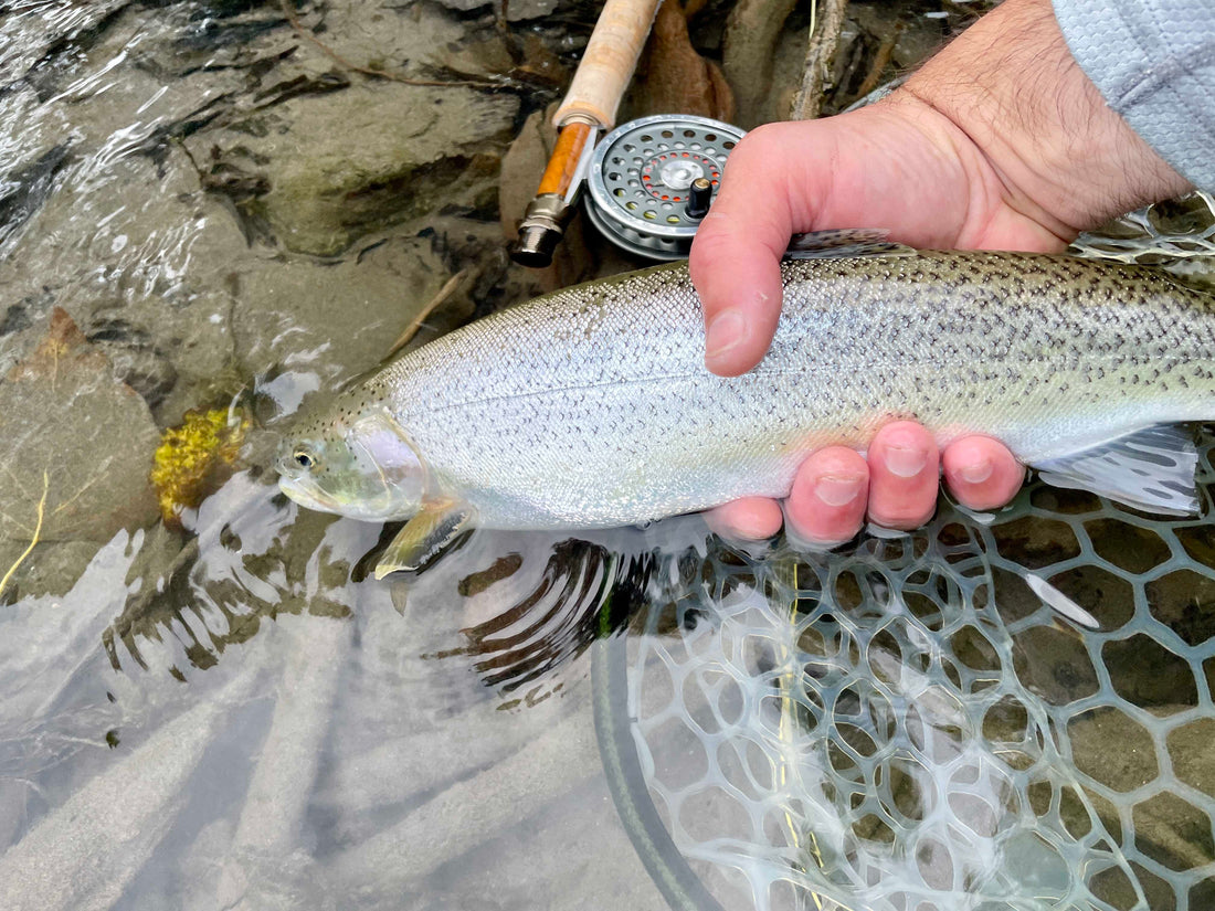 Fly Fishing Report: September 2024