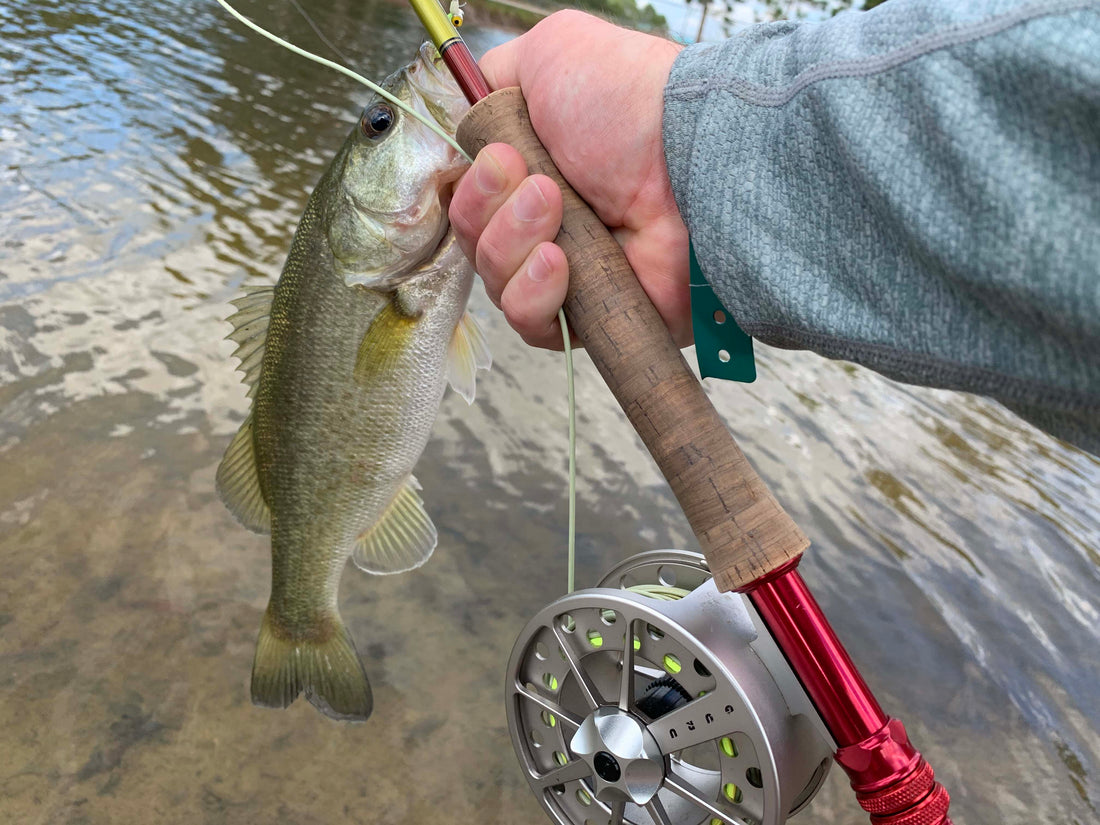 Fly Fishing Report: December  2019