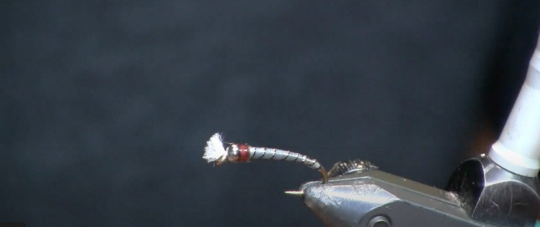 May Fly of the Month: Grey & Black Chironomid