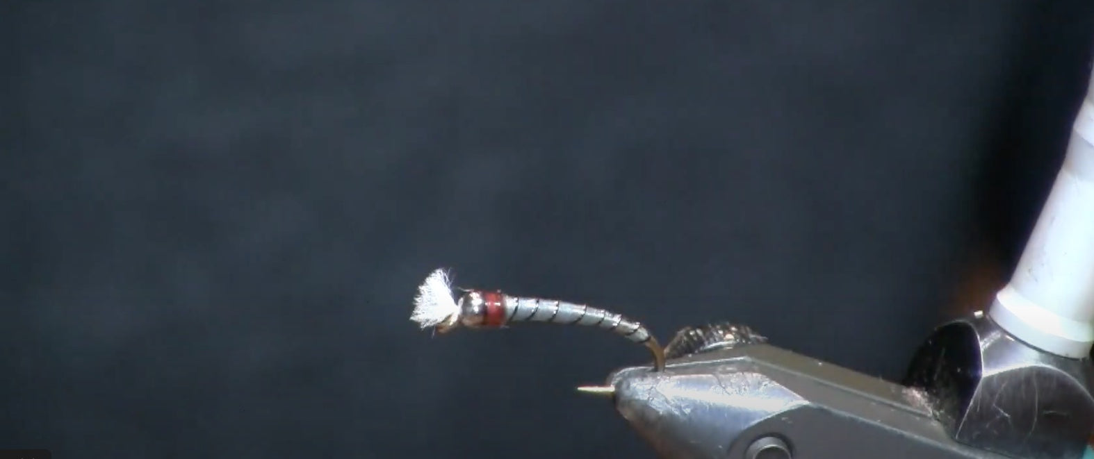 May Fly of the Month: Grey & Black Chironomid
