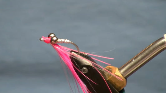 August Fly of the Month: Humpy Charlie