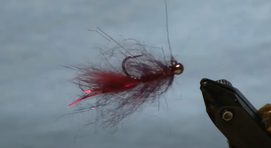 February Fly of the Month: Insta Balanced Leech