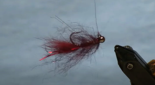 February Fly of the Month: Insta Balanced Leech