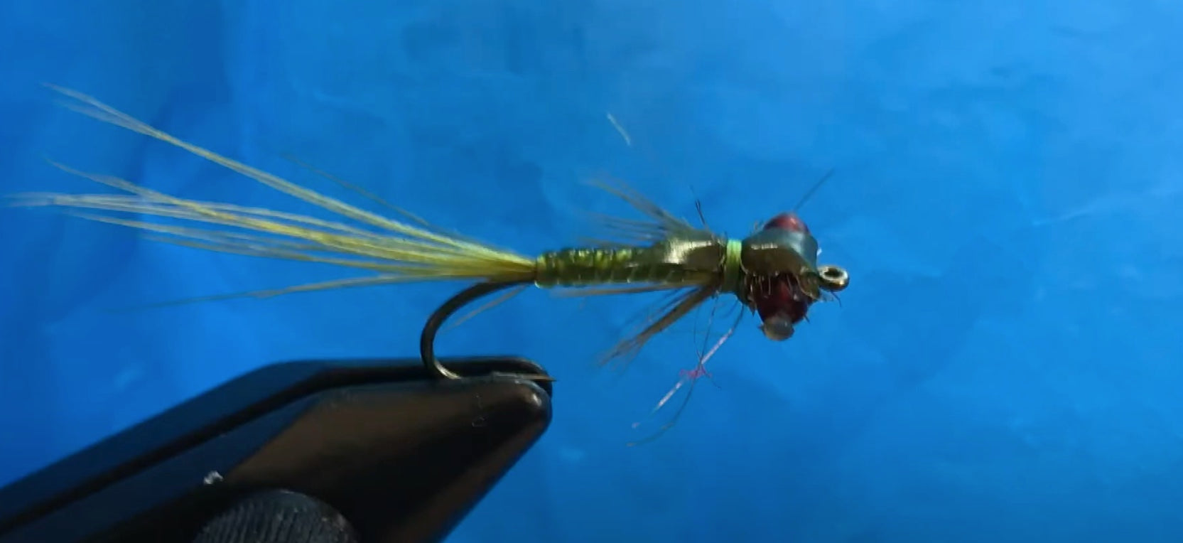 May Fly of the Month: Jean Claude Van Damsel