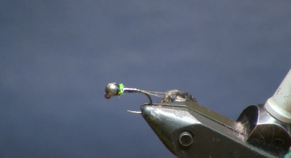 January Fly of the Month: June Bug Nymph – The Confluence Fly Shop
