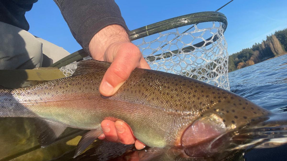 Fly Fishing Report: January 2022