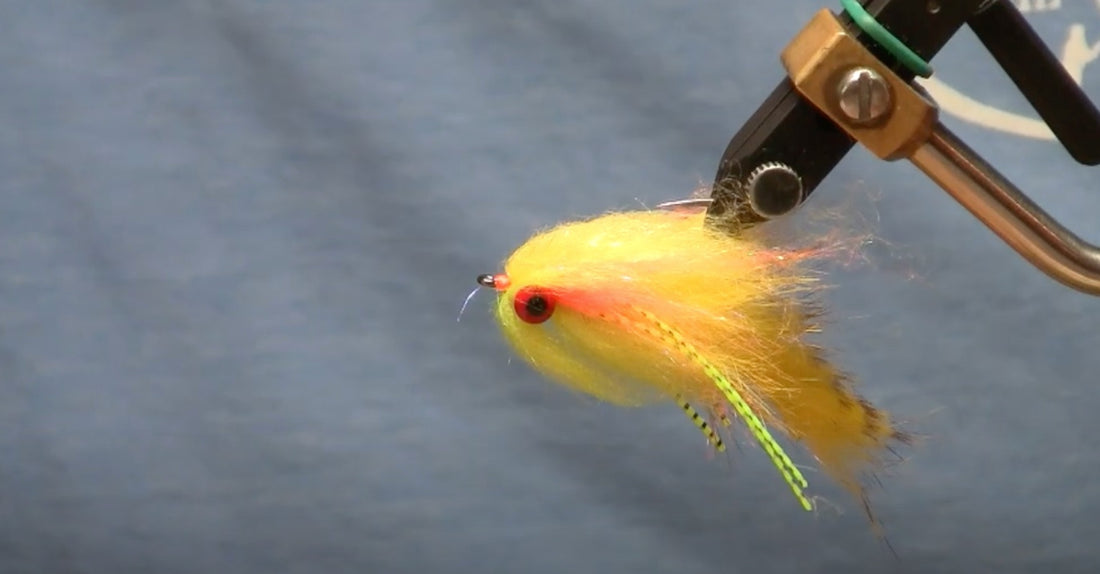June Fly of the Month: Lunch Money