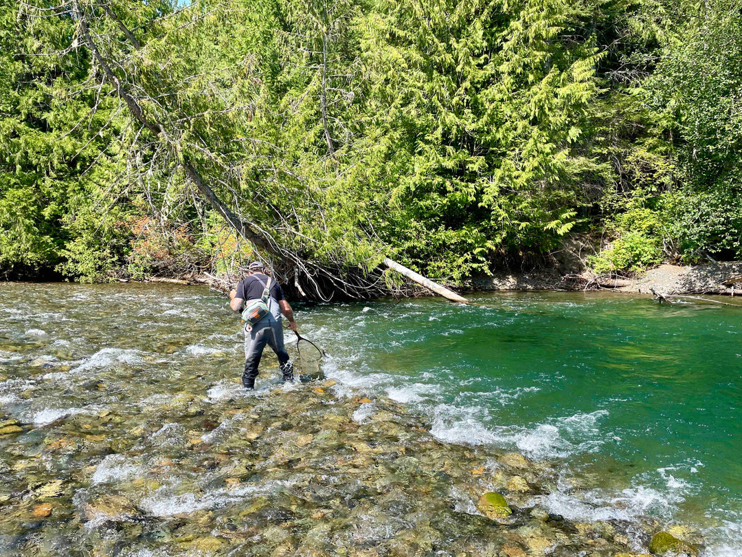 Fly Fishing Report: August 2024