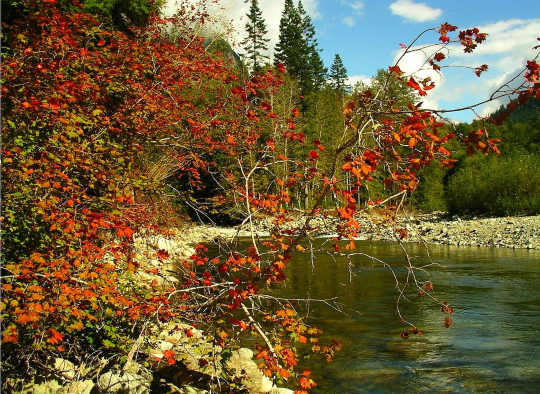 Fly Fishing Report: September 2016