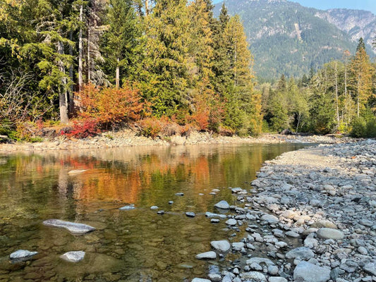 Fly Fishing Report: October 2022