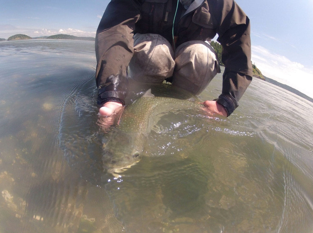 Fly Fishing Report: May 2019