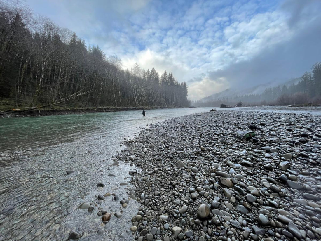 Fly Fishing Report: March 2021