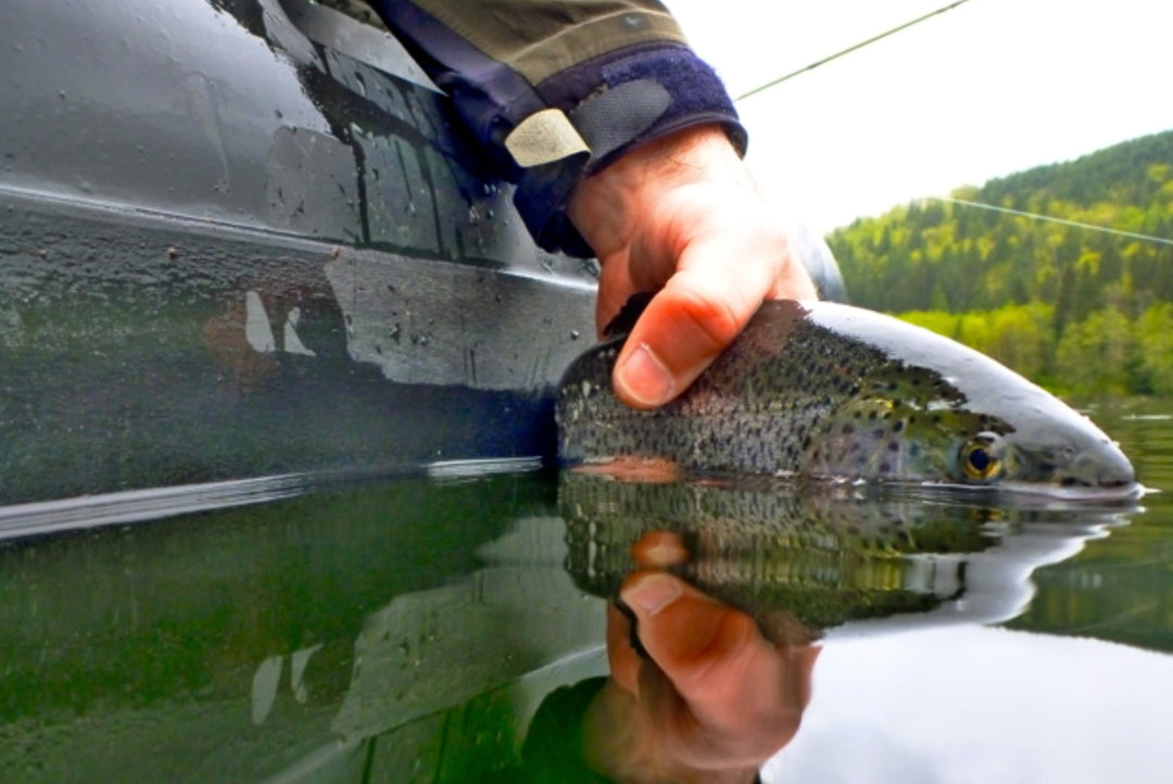 Fly Fishing Report: May 2017