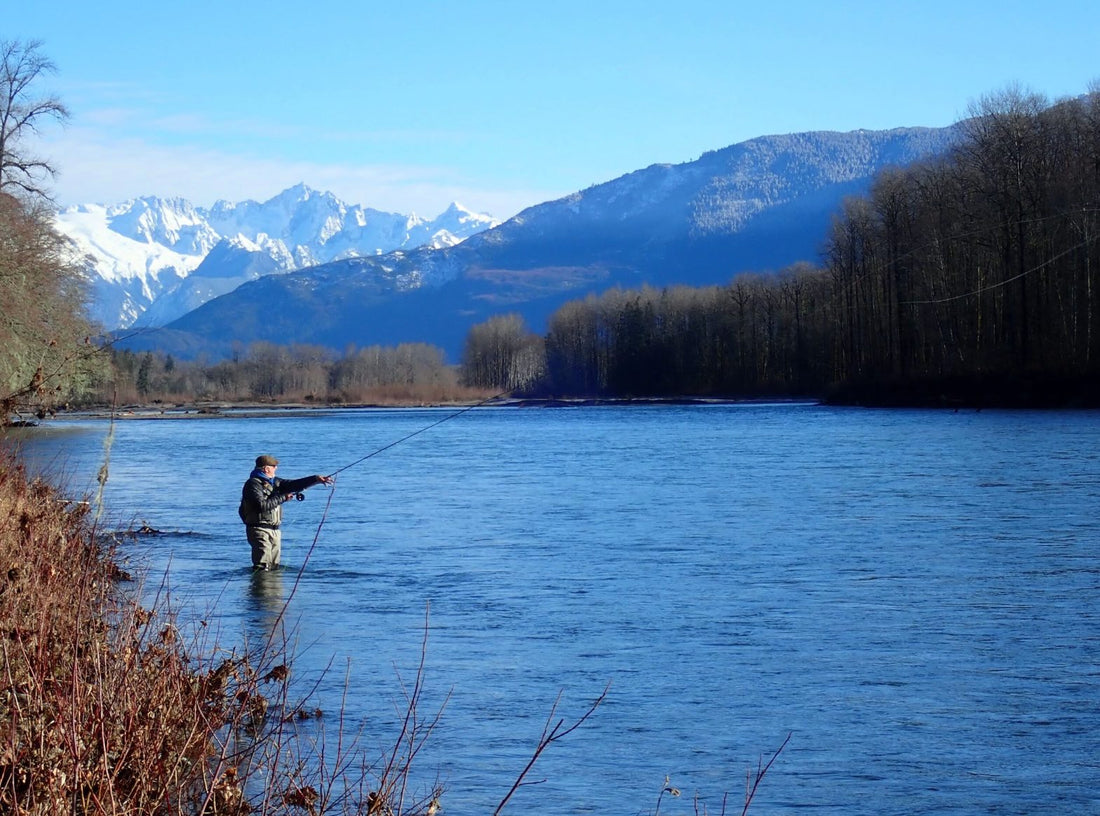 Fly Fishing Report: January 2018