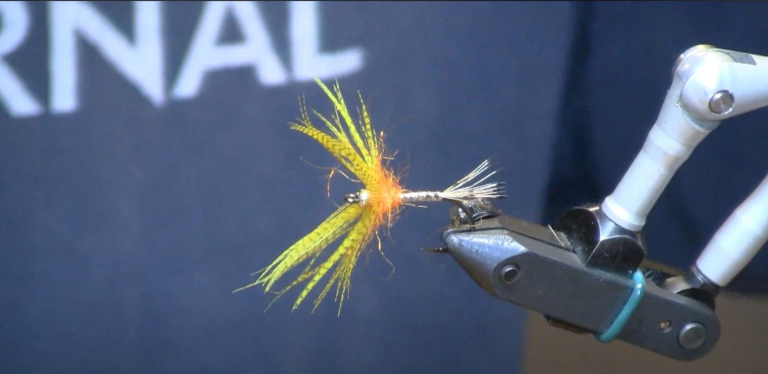 September Fly of the Month: Peter Parker Cutty Spider
