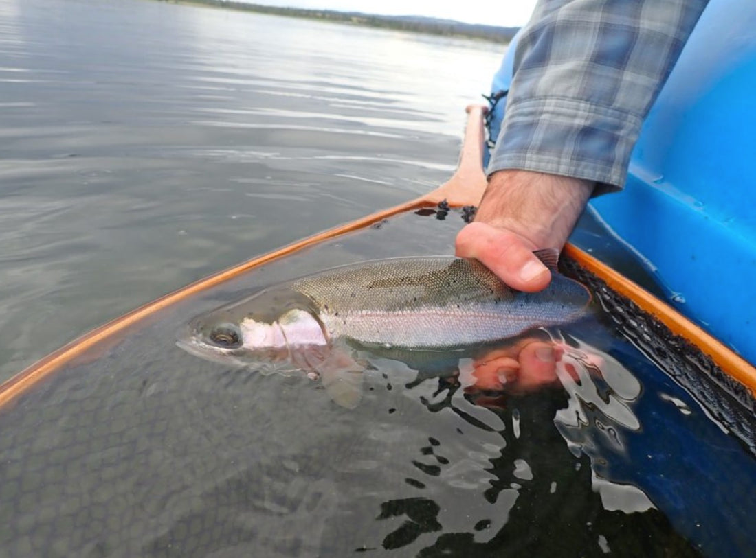 Fly Fishing Report: July 2019
