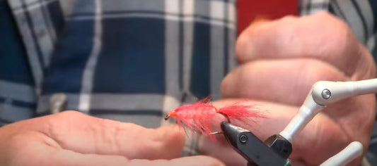 December Fly of the Month: Jerry Well's Pink Shrimp
