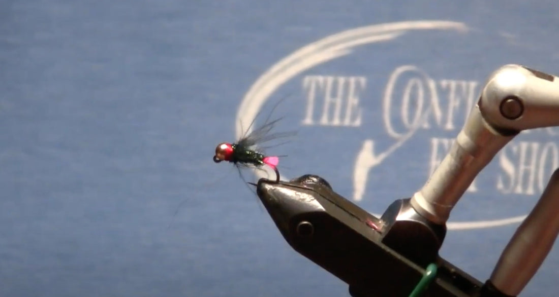 June Fly of the Month: Pink Tag