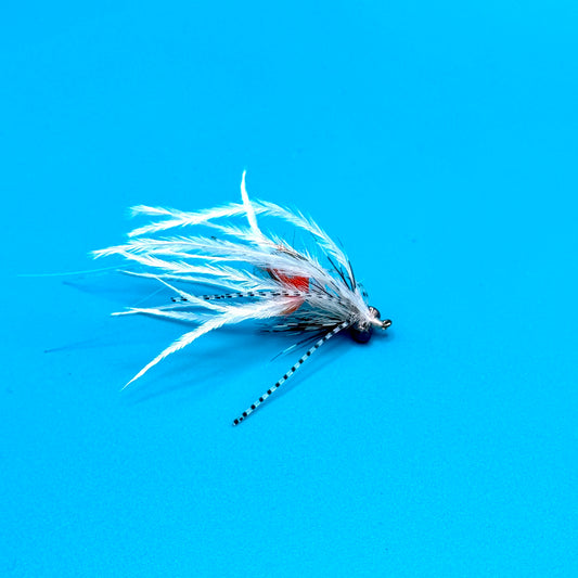 December Fly of the Month: Rio's Pocket Rocket