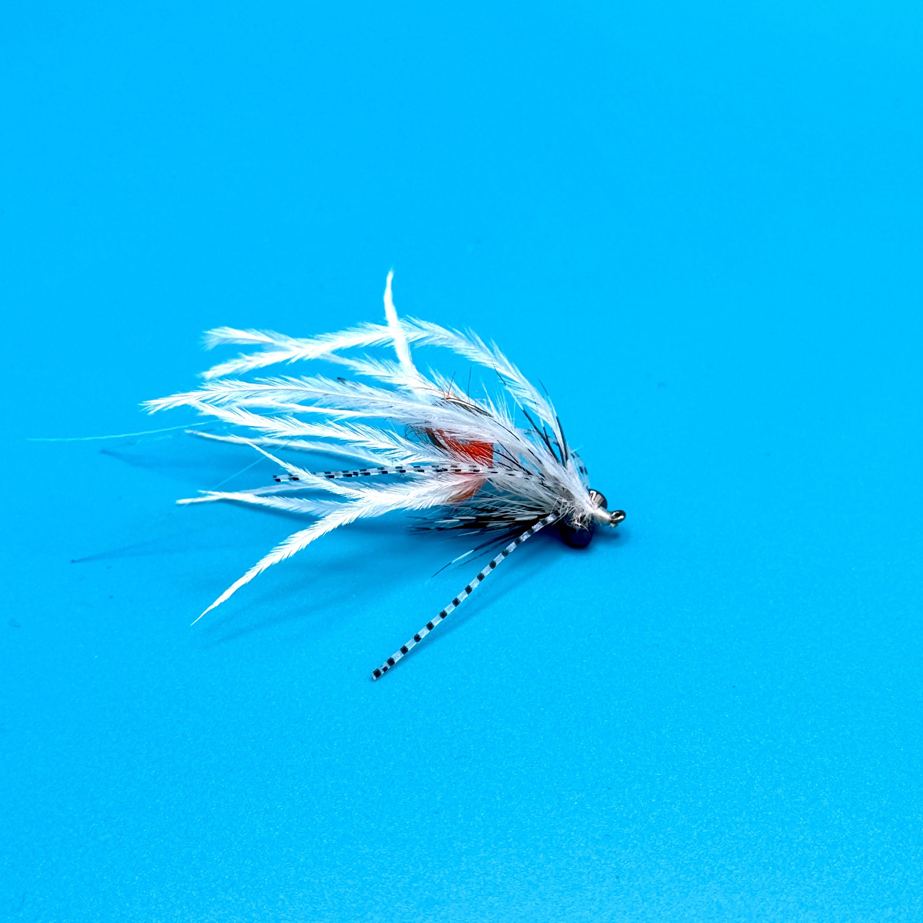 December Fly of the Month: Rio's Pocket Rocket