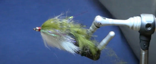 December Fly of the Month: Polar Llama