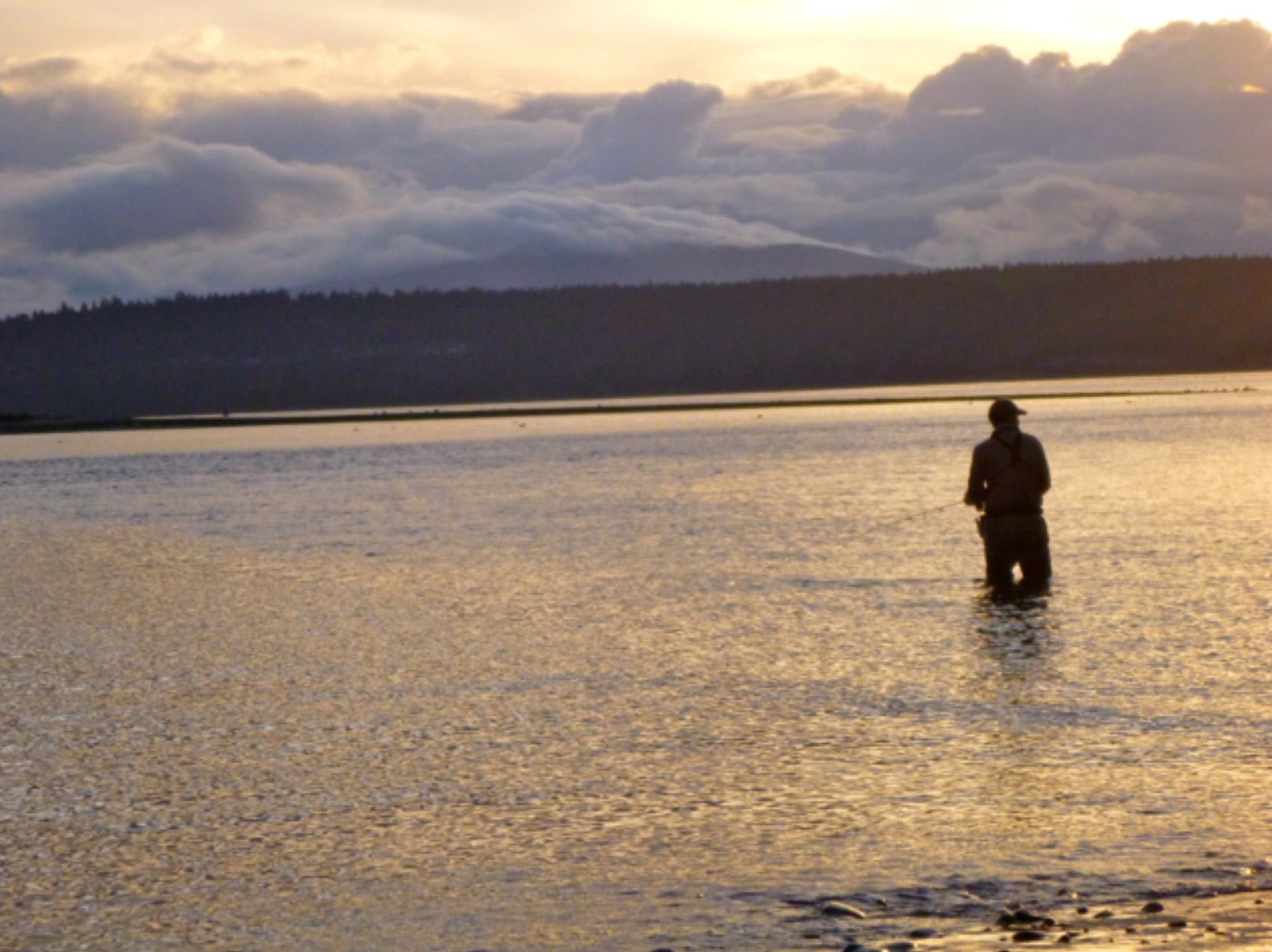 Fly Fishing Report: March 2016