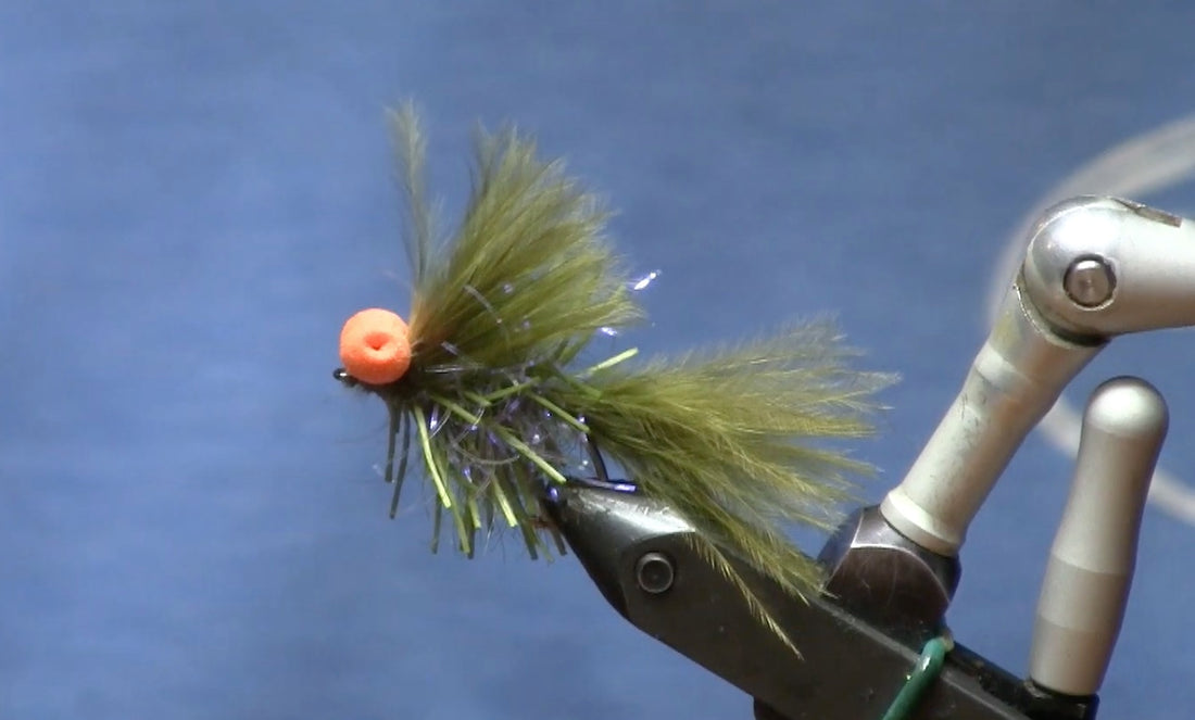 October Fly of the Month: Pumpkinhead Booby