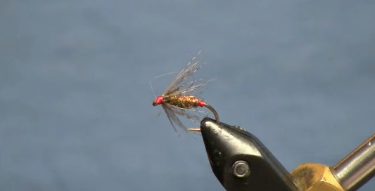 September Fly of the Month: Red Ass Soft Hackle