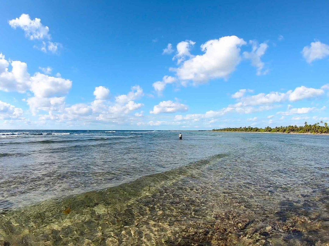 Rocky Point Permit Camp Trip Report: February 2026