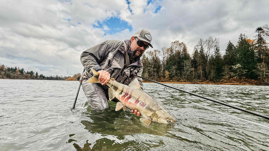 Fly Fishing Report: November 2025