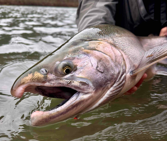 Fly Fishing Report: December 2025