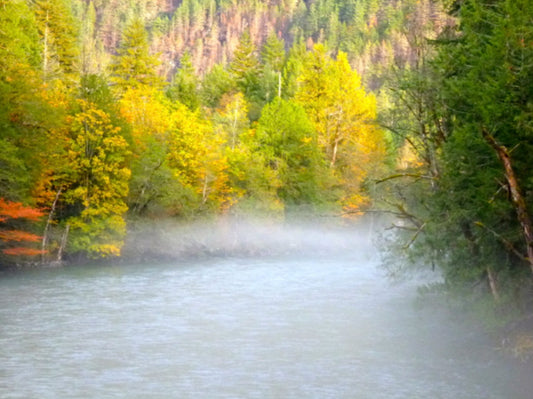 Fly Fishing Report: October 2015