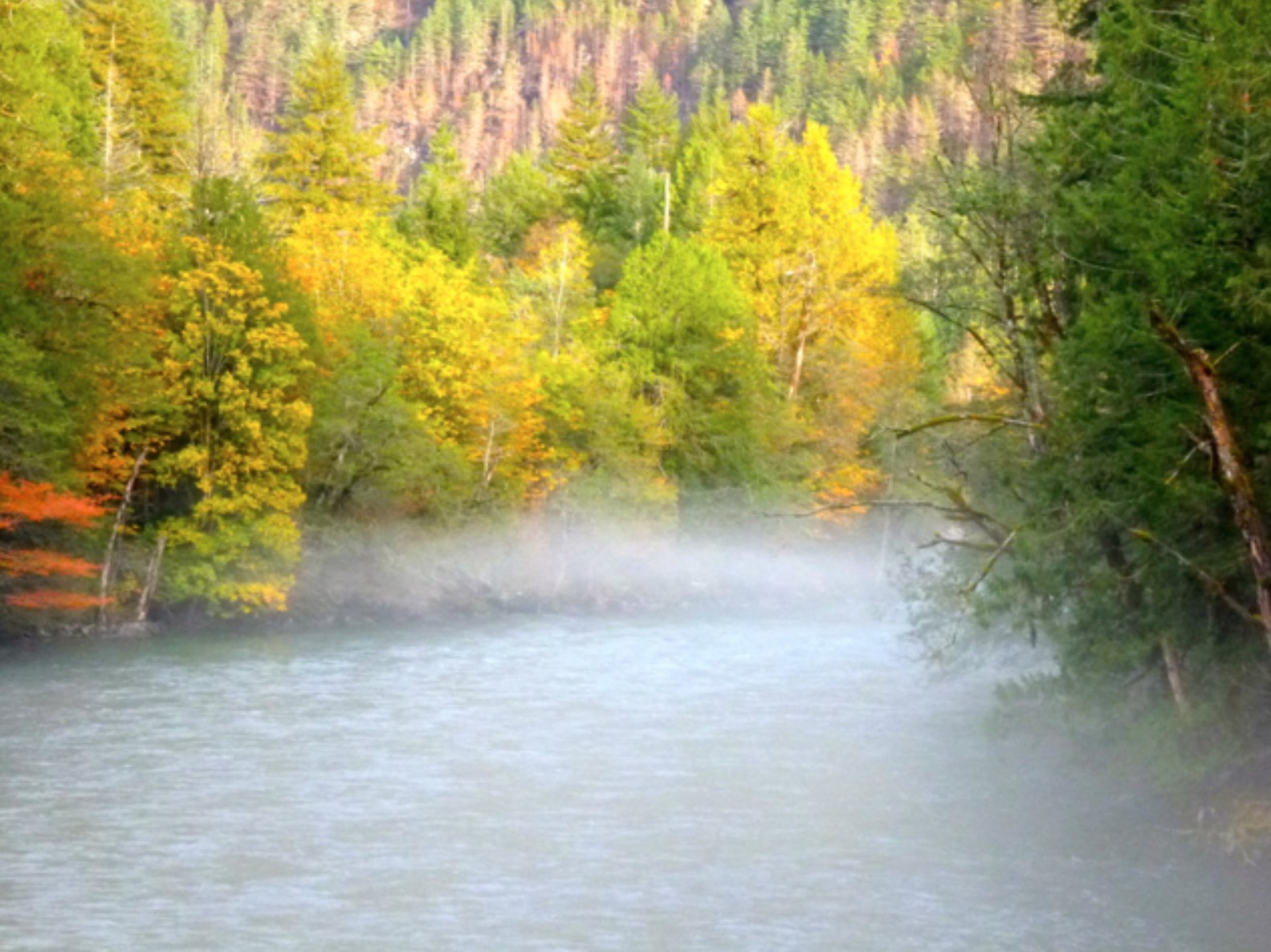 Fly Fishing Report: October 2015