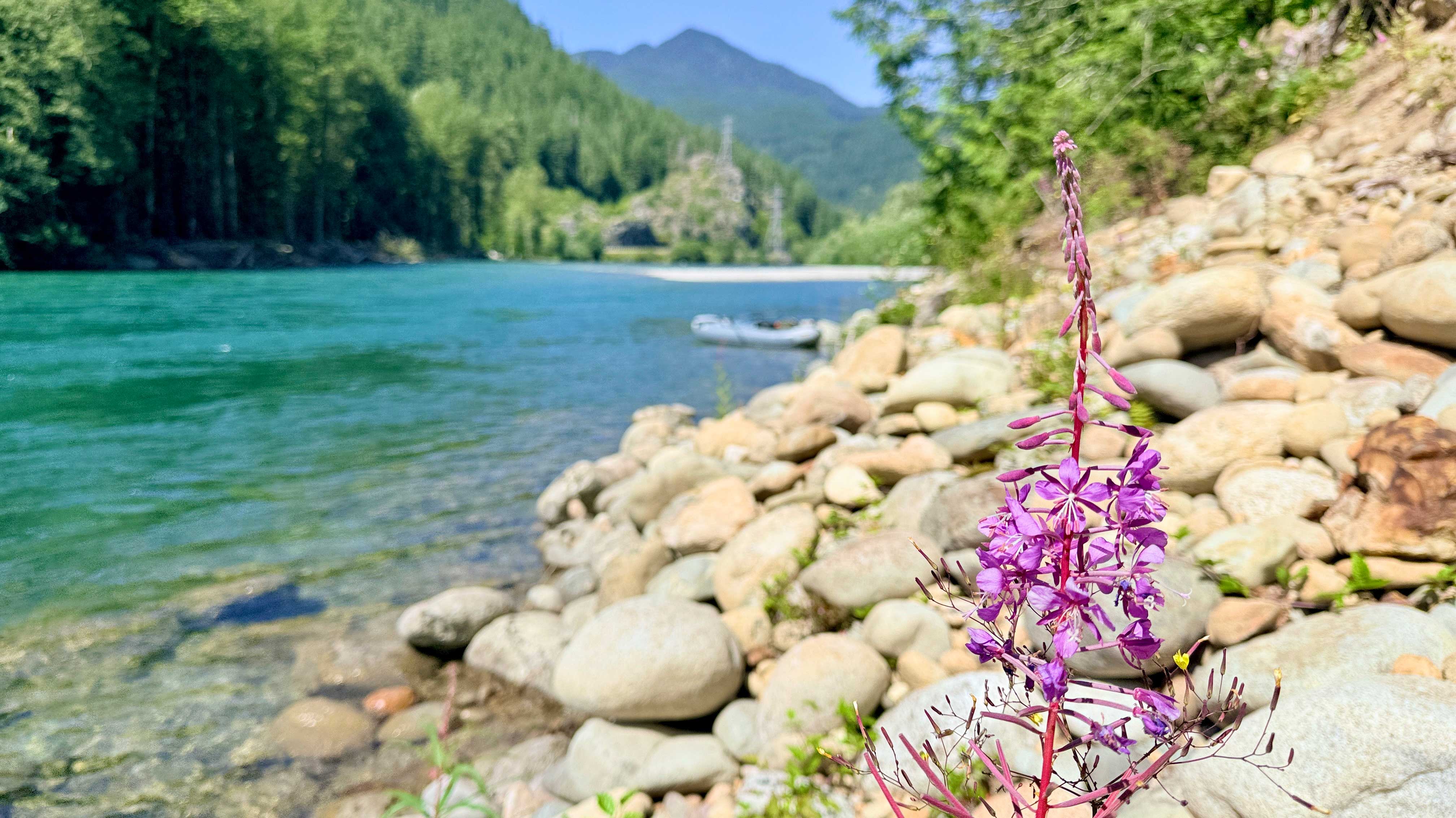 Fly Fishing Report: July 2026
