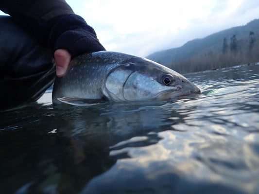 Fly Fishing Report: March 2018