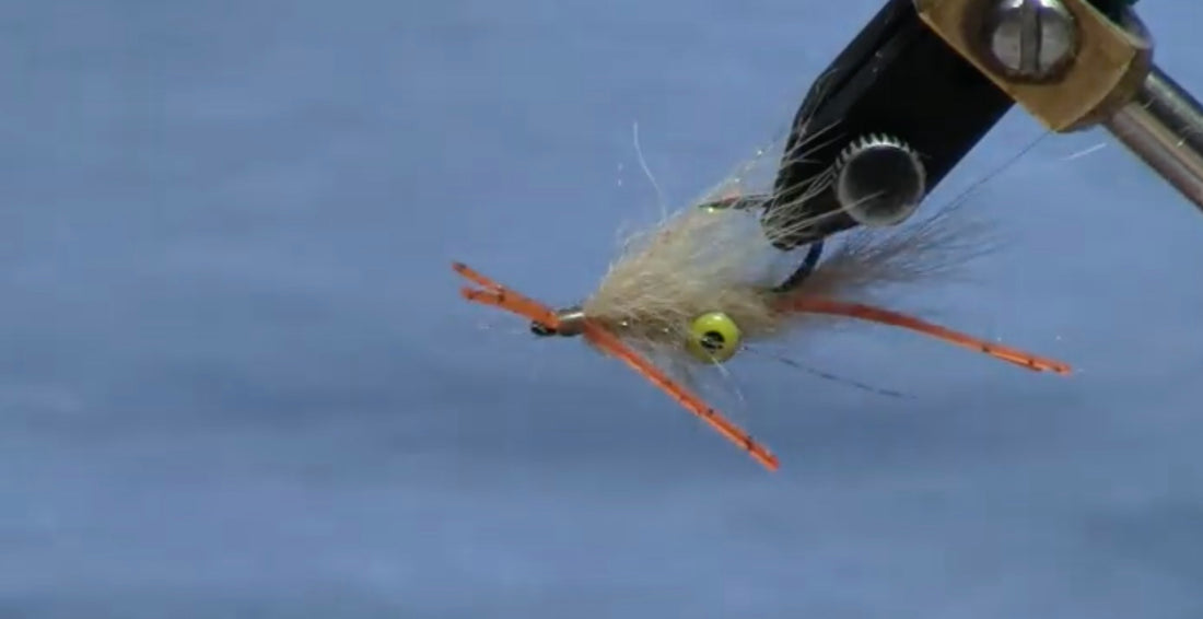 December Fly of the Month: Bonefish Squimp