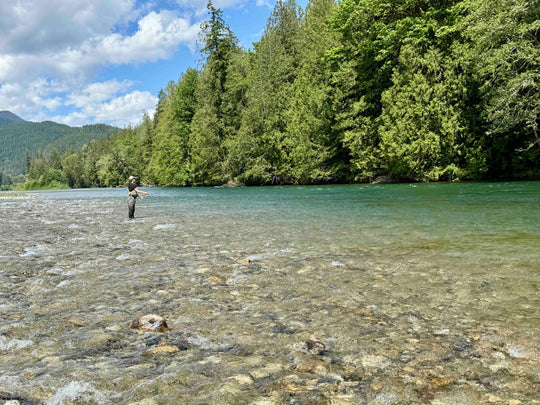 Fly Fishing Report: June 2025
