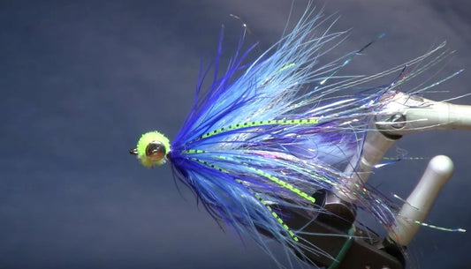 November Fly of the Month: Twitch Magnet