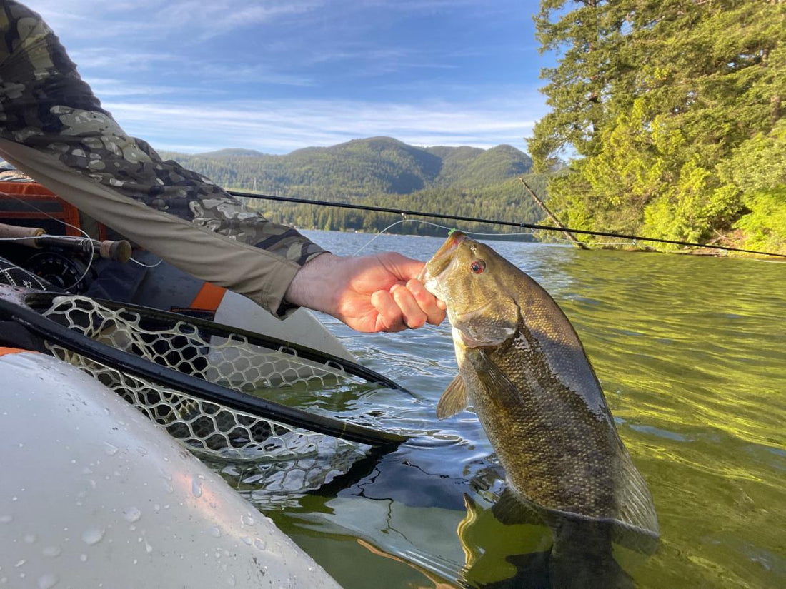 Fly Fishing Report: June 2022